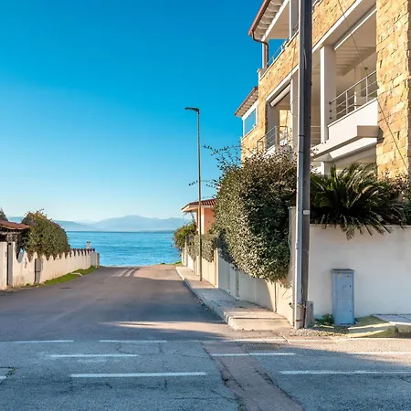 Cormorani N 5 골푸아랑시